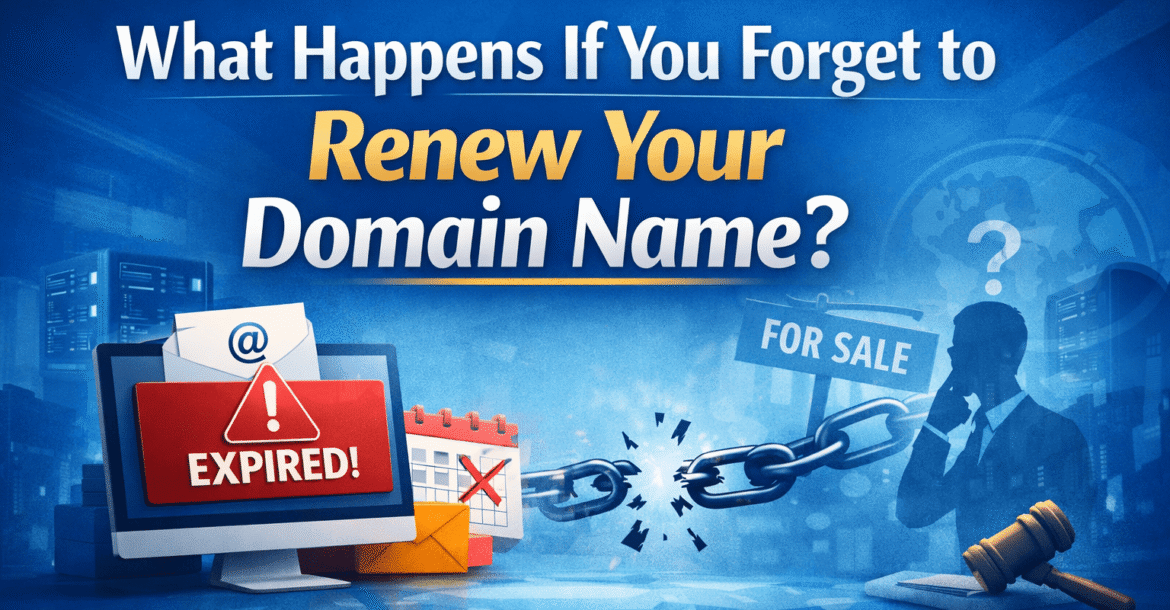 domain name renewal